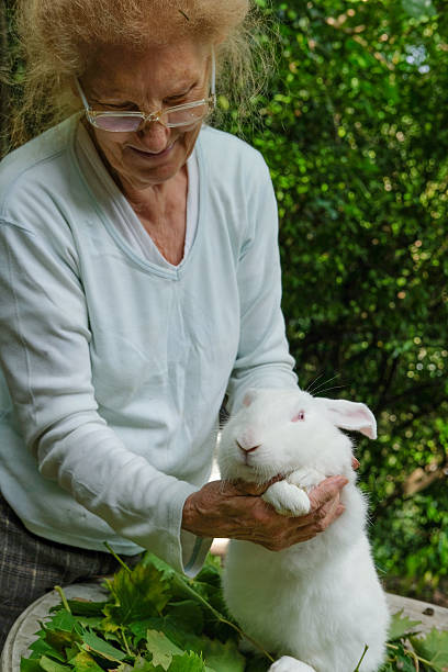 istock Senior Woman Caressing a White Rabbit 610136582