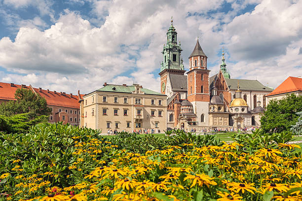 Wawel Cathedral Wawel Cathedral on Wawel Hill in Krakow, Poland. wawel cathedral photos stock pictures, royalty-free photos & images