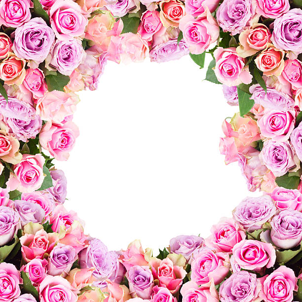 istock bouquet of fresh roses 610138460