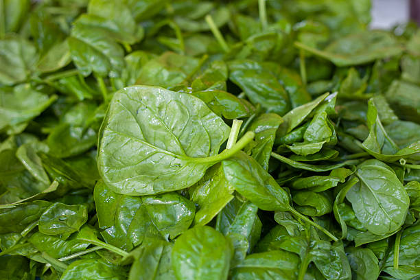 istock Pile of Fresh green spinach leaves 610140290