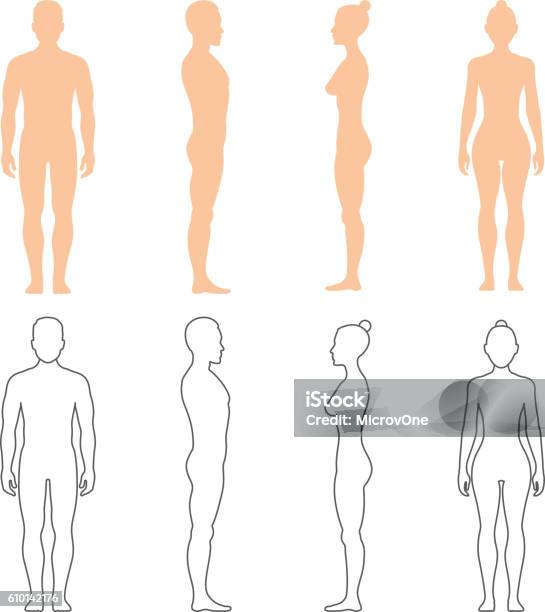Sagome Vettoriali Umane Maschili E Femminili - Immagini vettoriali stock e altre immagini di Il corpo umano - Il corpo umano, Figura femminile, Icona