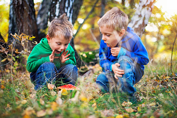 kleine jungen fanden einen herbst-krötenhocker - child discovery outdoors playing stock-fotos und bilder