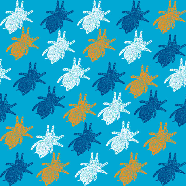 линокут тарантул фон - silhouette spider tarantula backgrounds stock illustrations