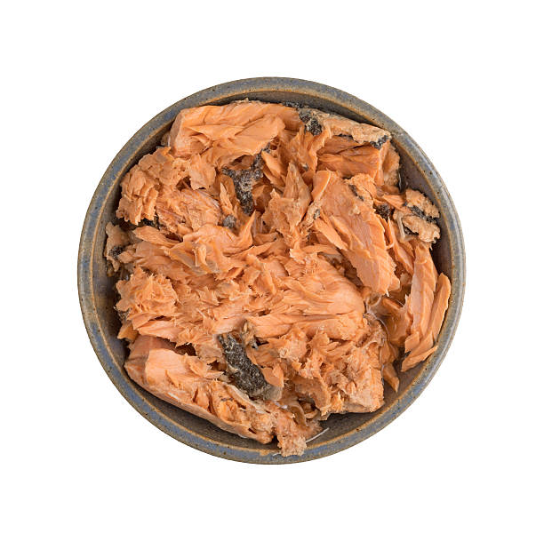 istock Pacific pink salmon in an bowl on a white background 610145532