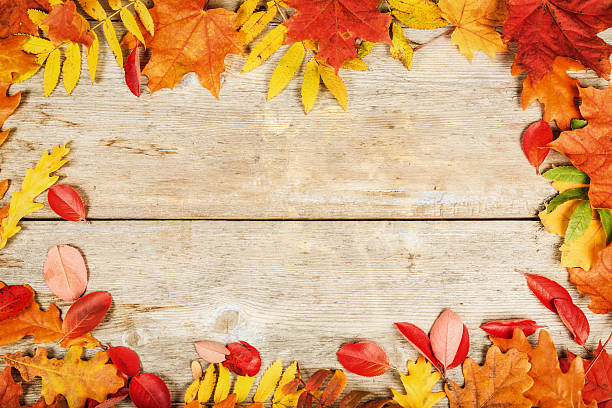 istock Bright autumn leaves old wooden surface with copy space 610146504