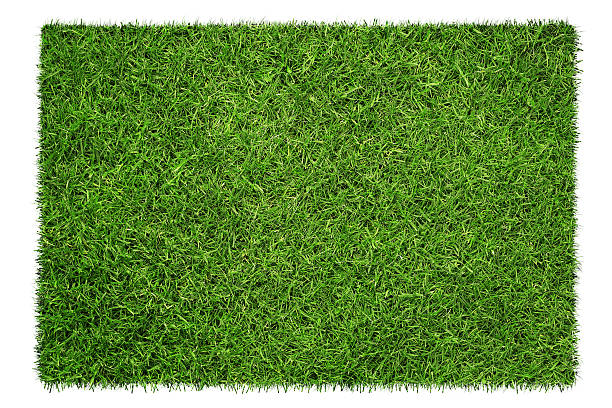 Grass texture Close up of green grass texture, background isolated on white background with copy space grass area stock pictures, royalty-free photos & images