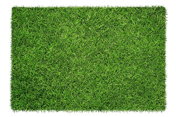 Close up of green grass texture, background isolated on white background with copy space