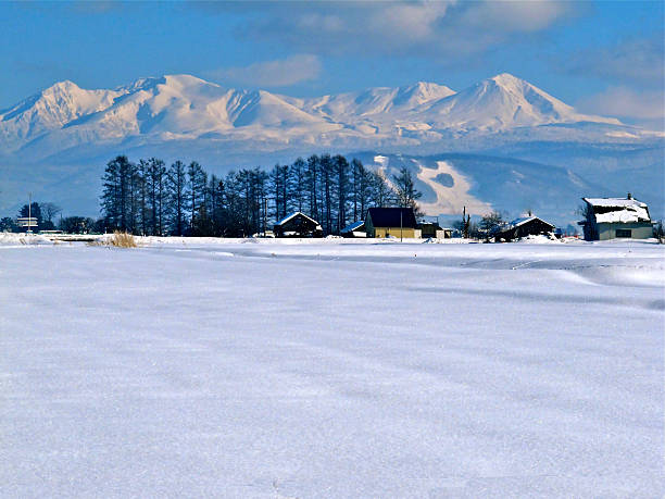 istock Winter of rice field and Daisetsuzan mountain range 610153200
