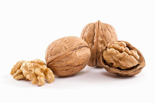 noix de grenoble  - walnut photos et images de collection