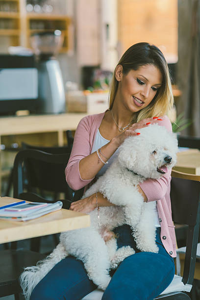 istock Young Woman Sitting In Cafe With Her Dog 610157526
