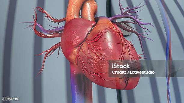 Myocardial Infarction Stock Photo - Download Image Now - Coronary Artery, Illness, Acute Angle
