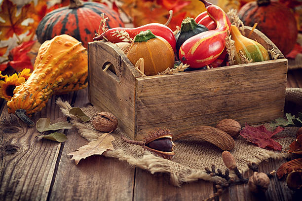istock Autumn pumpkin decoration on wooden table with copy space 610160120