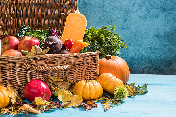 istock Thanksgiving concept, local harvest produce 610218718