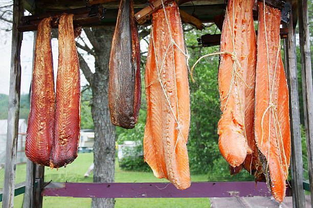 canadian red salmon strips hung to smoke on rack outdoor - alaskan salmon imagens e fotografias de stock