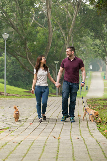 istock Happy Mixed Race Couple with Pomeranian 610222390