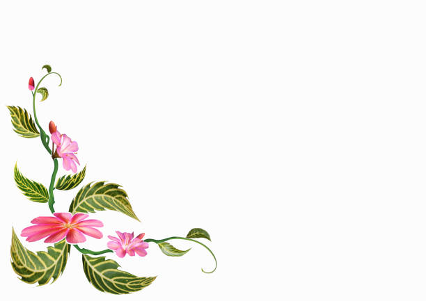 Pattern of flowers and leaves isolated on white background.