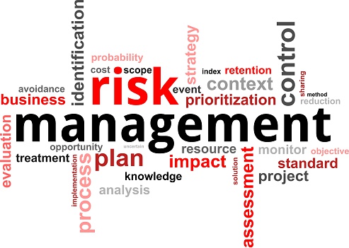 A word cloud of risk management related items