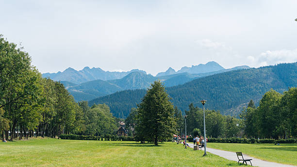istock Mountain Landscape in Zakopane 610228796