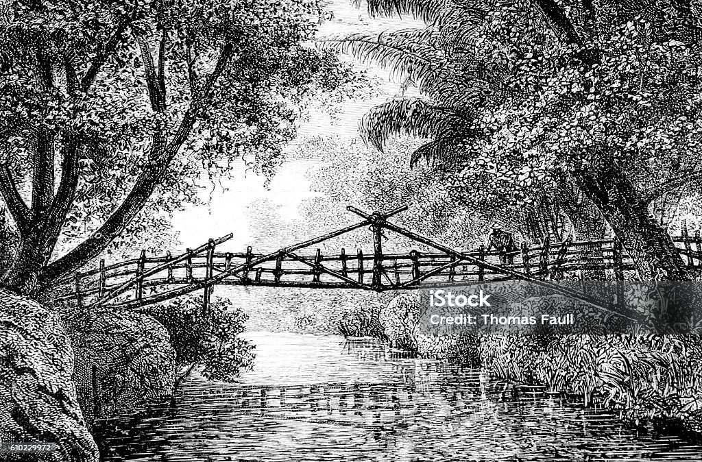 Hand drawn illustration of small bridge A hand drawn illustration of a bridge in a forest from an old 1885 book "Wyss Robinson Suise", a french version of the Swiss Family Robinson.  Bridge - Built Structure Stock Photo