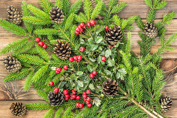 istock Christmas decoration, holly and pine cones on Christmas tree branch 610230090