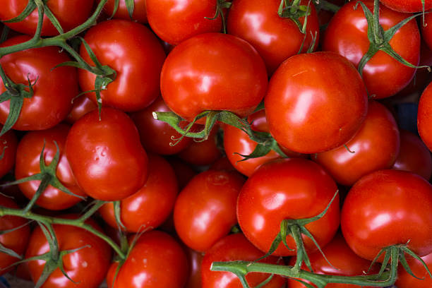 istock fresh tomatoes. red tomatoes background. Group of tomatoes 610230590