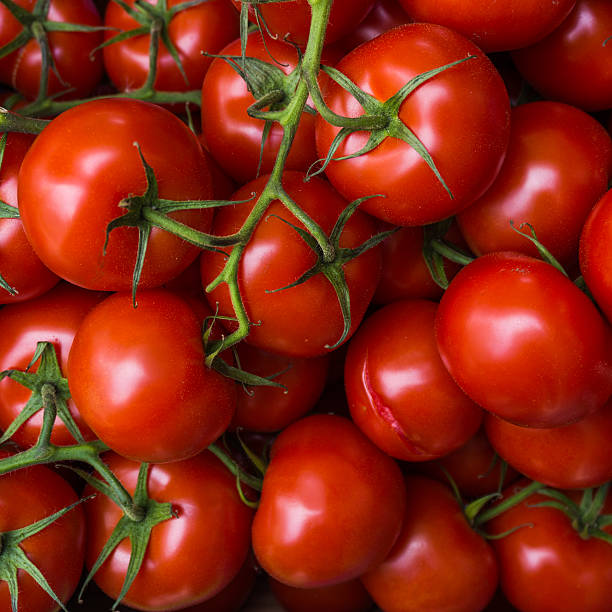 istock fresh tomatoes. red tomatoes background. Group of tomatoes 610230640