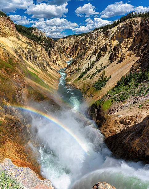 rainbows at lower falls on the grand canyon in yellowstone - lower falls imagens e fotografias de stock