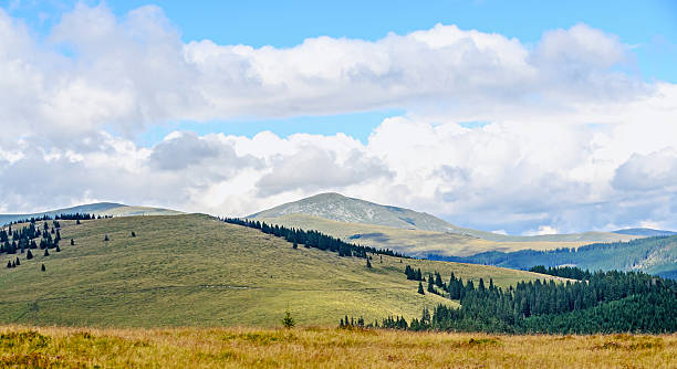 istock Transalpina road with hills covered with green grass 610232050