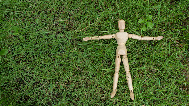 istock wooden human figure lay down on grass garden relax 610232126