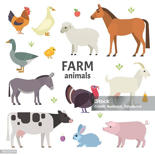 농장 동물은 동물에 대한 스톡 벡터 아트 및 기타 이미지 - 동물, 농장, 양