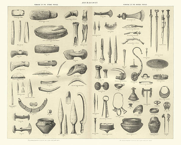 ilustraciones, imágenes clip art, dibujos animados e iconos de stock de artefactos de la edad de piedra y bronce - arqueología