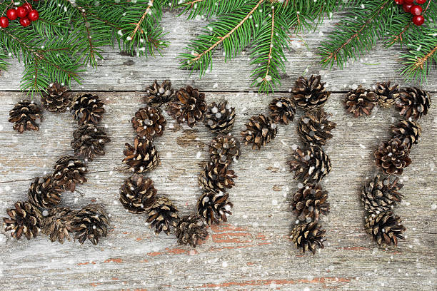istock Sigh symbol from pine cones number 2017 on wooden texture 610233378