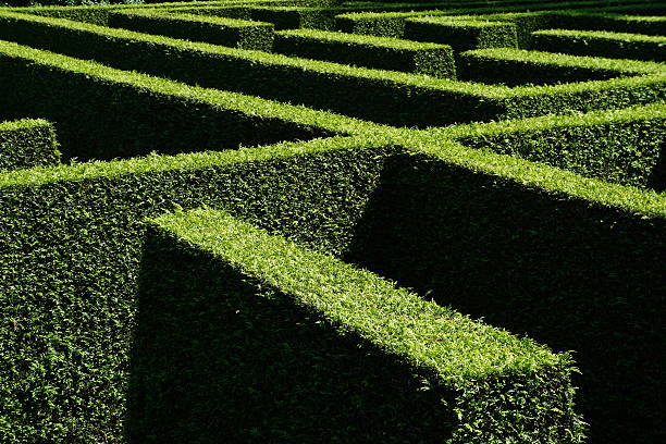 Woman stands in front of big maze made in garden with tress and bushes. Concept of standing in front of a challenge and finding the right solution to move on.