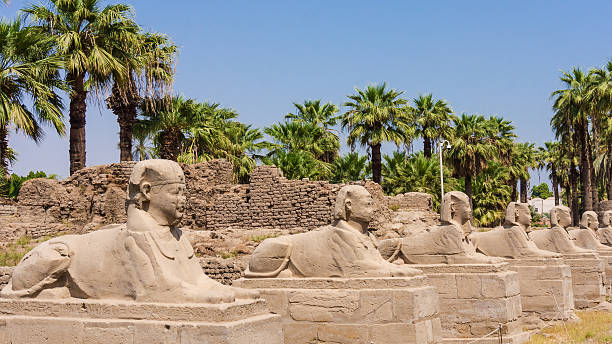 istock Avenue of the Sphinxes, Egypt 610236152