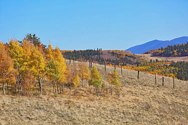 istock Fall Colors in a Colorado Mountain Pass 610237790