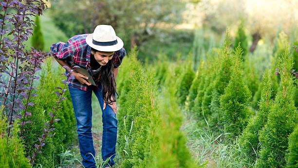 istock Beautiful gardener observing plants 610239226