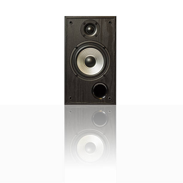 istock Audio speakers in a wooden case with reflection, isolated 610241924