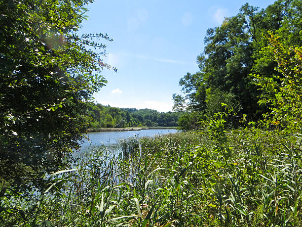 istock Beautiful lake on summer 610245862