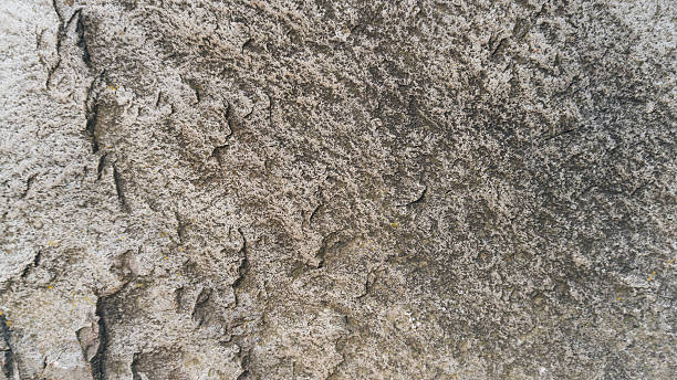 istock Stone Texture Background Miekinia Porphyry 610246020
