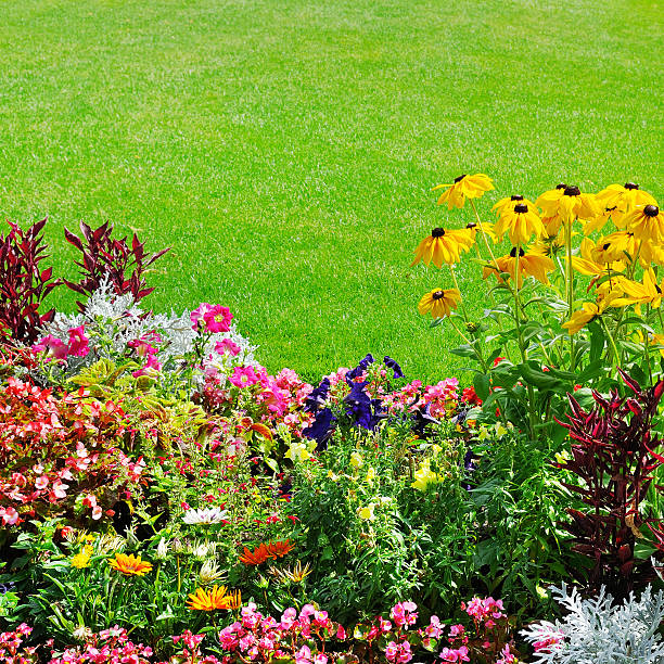 istock summer flowerbed and green lawn 610247152