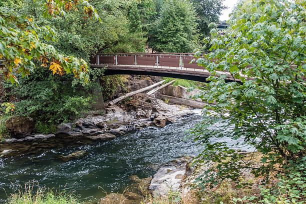 istock Bridge Over The Tumwater 3 610247526