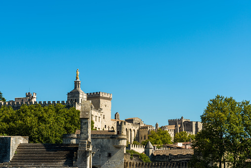 Avignon city center with city wall and cathedral