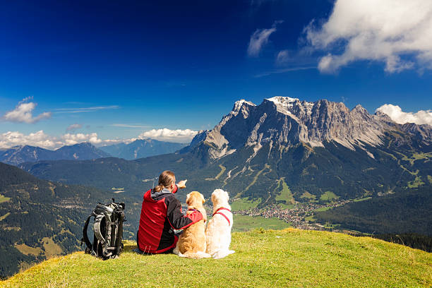 Nature photographer enjoy the view his dogs, Zugspitze, Alps Nature photographer with tripod an backpack with his dogs in the alps at Mount Zugspitz ehrwald stock pictures, royalty-free photos & images