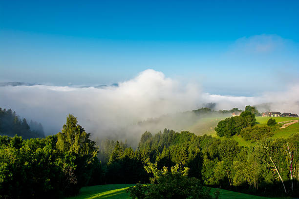 istock Foggy valley in Styria in Austria 610250476