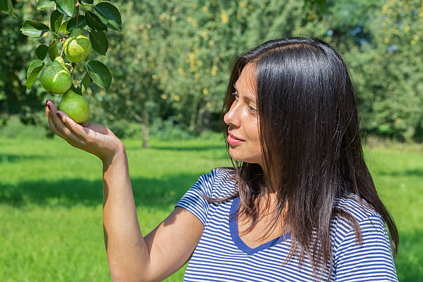 istock Woman holding and looking at pears in orchard 610250886