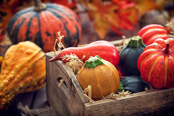istock Autumn pumpkin decoration on wooden table with copy space 610251630