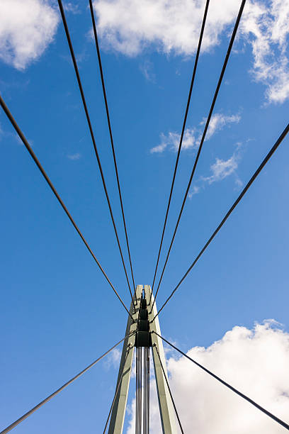 istock Metal ropes of suspension bridge 610251878