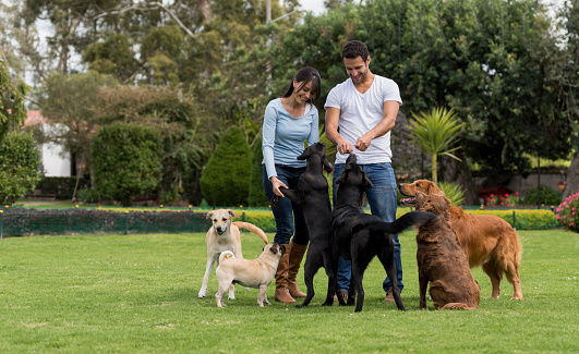 Happy Latin American couple adopting a dog from a shelter - animals concept