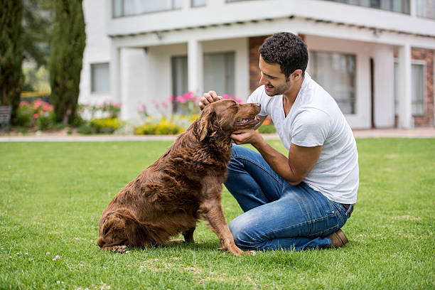 istock Happy man playing with his adopted dog 610255158