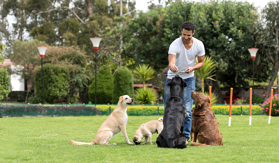 Hombre que entrena perros en el parque photo